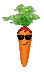 :carotte: